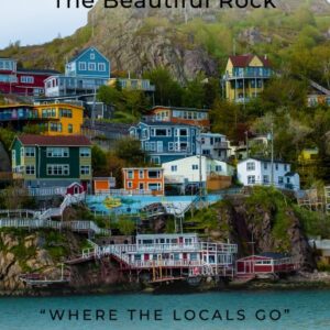Newfoundland (Paperback)