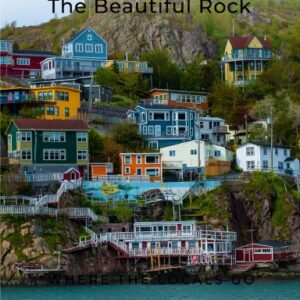 Newfoundland (Hard Cover)